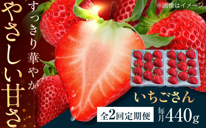 【2回定期便】佐賀県産イチゴ「いちごさん」約440g（220g×2パック） /有限会社しげやす[UEQ008]