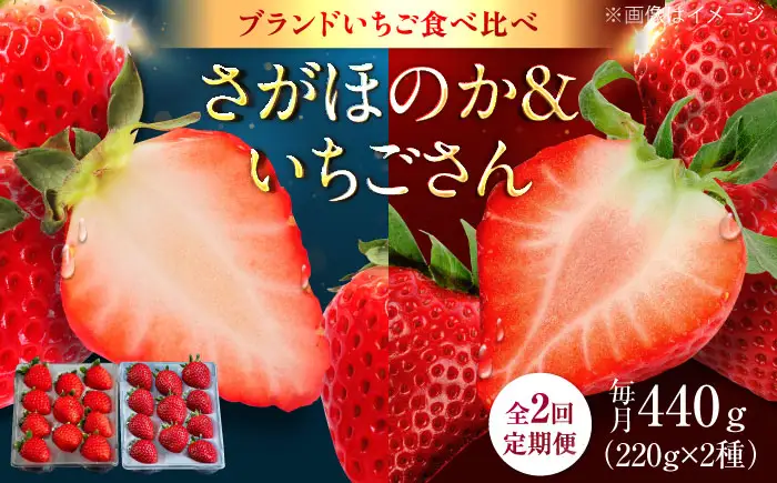 【2回定期便】赤いちご食べ比べ定期便（毎月 約440g） /有限会社しげやす[UEQ009]