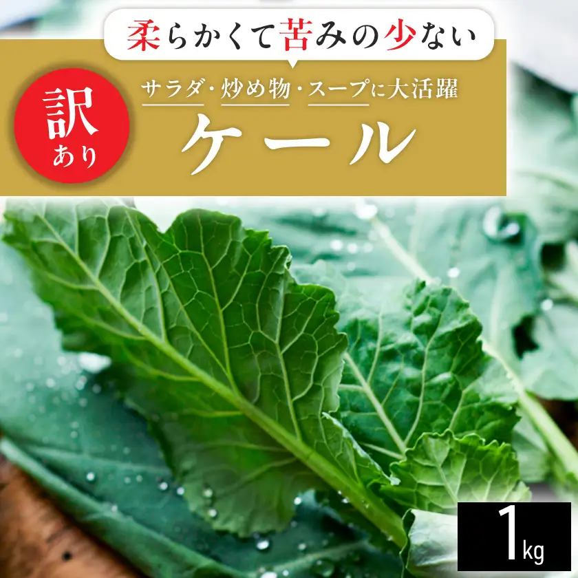 【訳あり】ソフトケール 1kg【TV紹介で大好評】おいしさで、ケールに革命を。【配送不可地域：離島】【1726973】