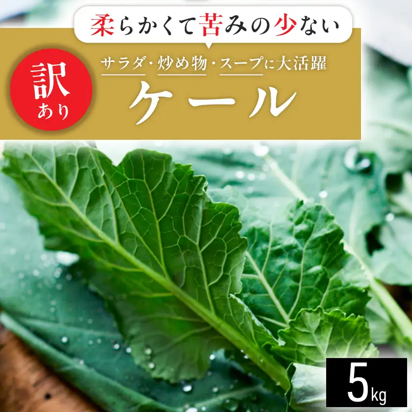 【訳あり】ソフトケール 5kg【TV紹介で大好評】おいしさで、ケールに革命を。【配送不可地域：離島】【1727000】