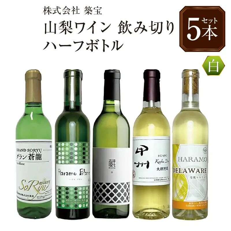 ワイン 飲みきりハーフボトル 白ワイン 5本セット（CKH）B17-770