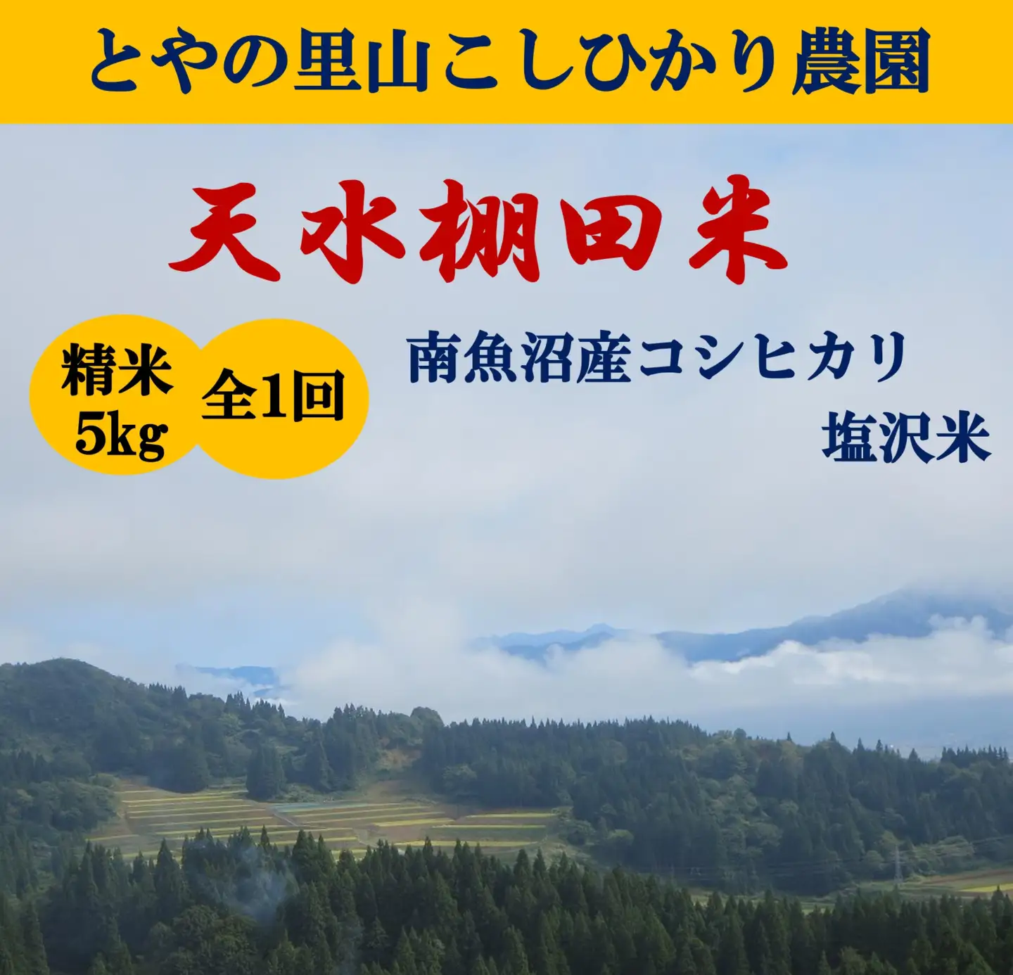 令和8年産新米予約【天水棚田米】雪蔵熟成塩沢産コシヒカリ精米5kg1回「とやの里山継承プロジェクト」【銘柄米 ブランド米 精米 こしひかり コシヒカリ 魚沼産 新潟米 お米 米 こめ】【2026年10月下旬より順次発送予定】