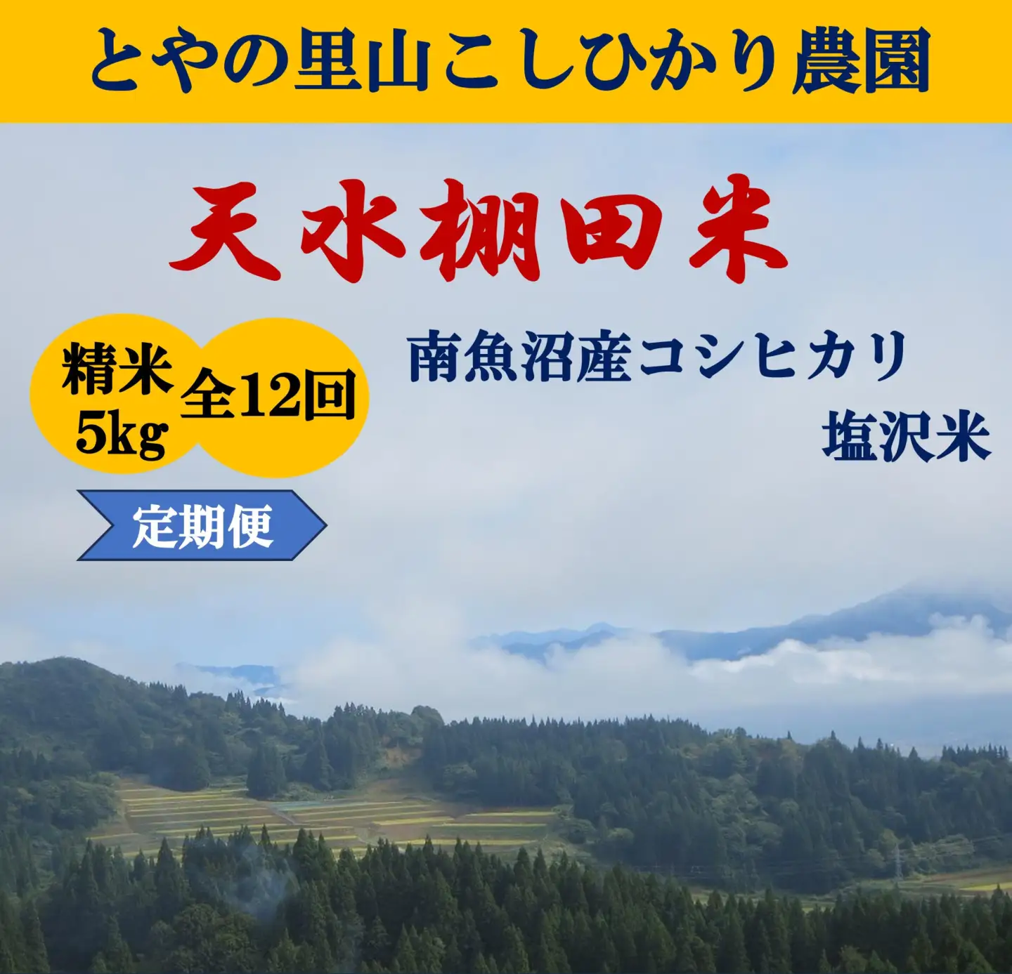 令和8年産新米予約定期便【天水棚田米】雪蔵熟成塩沢産コシヒカリ精米5kg12回「とやの里山継承プロジェクト」【定期便 銘柄米 ブランド米 精米 こしひかり コシヒカリ 魚沼産 新潟米】【2026年10月下旬より順次発送予定】