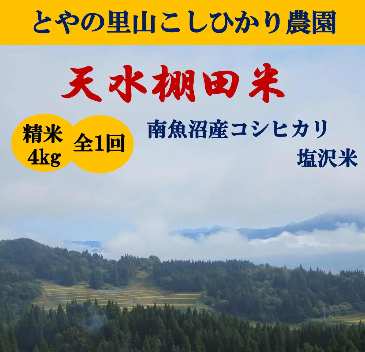 令和8年産新米予約【天水棚田米】雪蔵熟成塩沢産コシヒカリ精米4kg1回「とやの里山継承プロジェクト」【銘柄米 ブランド米 精米 こしひかり コシヒカリ 魚沼産 新潟米 お米 米 こめ】【2026年10月下旬より順次発送予定】