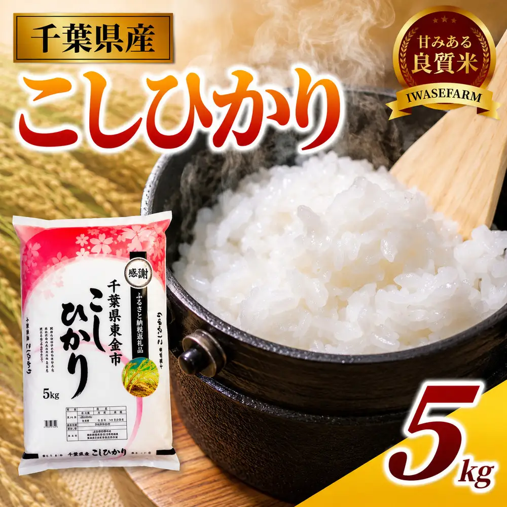 こしひかり 5kg コシヒカリ 8000円 令和7年産 [IWS004]