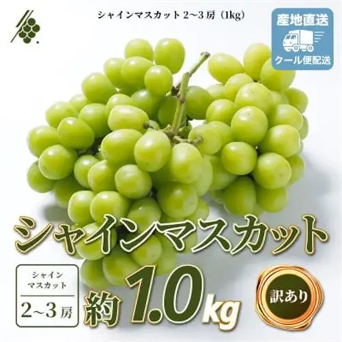 【2027年発送 先行受付】 シャインマスカット 2～3房 計1kg 訳あり ご家庭用【配送不可地域：離島・沖縄県】【1729248】