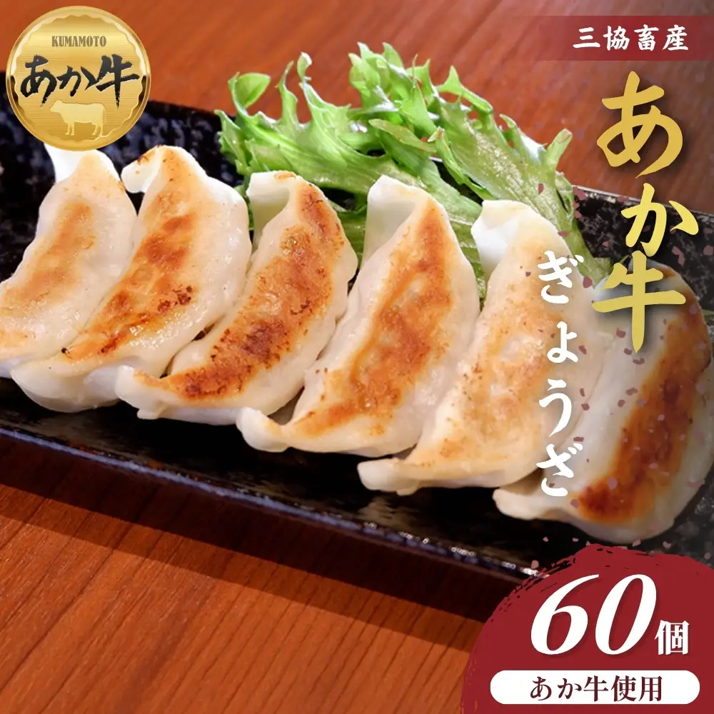 【三協畜産】熊本和牛あか牛ぎょうざ 60個　和牛 国産牛 お取り寄せ ご当地 高級 贅沢 ジューシー餃子 冷凍 あか牛 熊本県産 濃厚肉汁 焼くだけ簡単 熊本県 阿蘇市