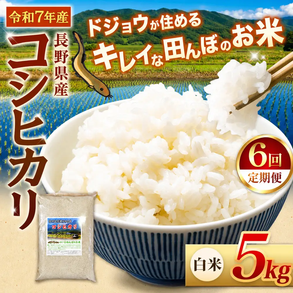 【定期便6回】『どじょうのいる田んぼのお米』コシヒカリ 白米 5kg | 馬場農園