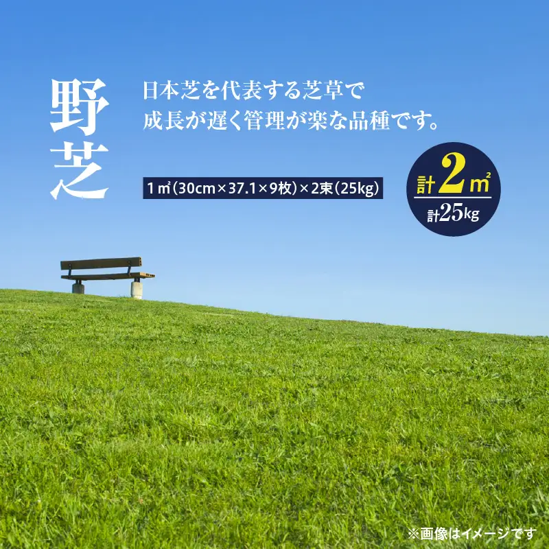 【10月から5月に発送】 野芝（2平方メートル） KN177-005-01 庭 芝生