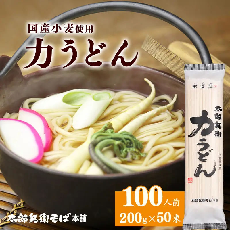 スピード配送！ 力うどん 100人前（50束）【国産小麦使用】 麺 乾麺 うどん 饂飩 山形　044-F-TB045