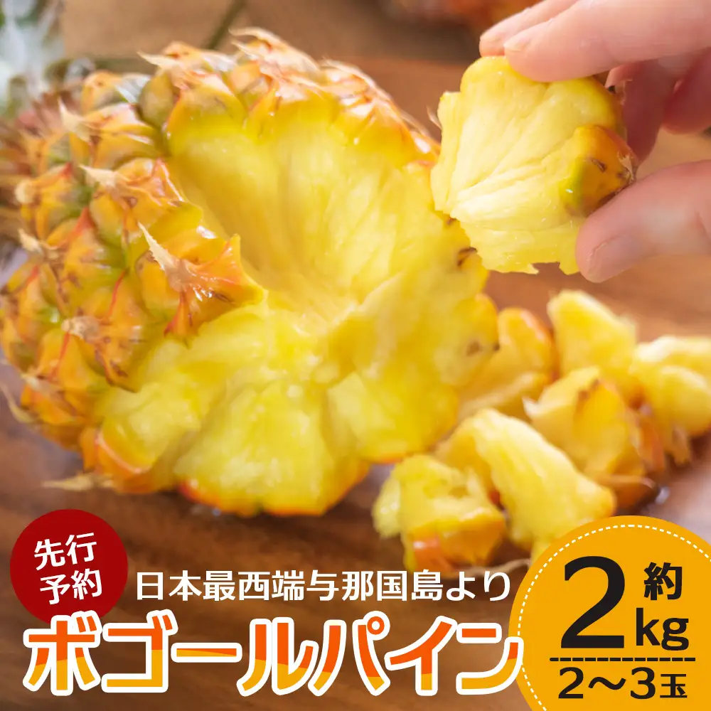 《先行予約》《2027年5月より順次発送》 与那国島産 ボゴールパイン 2～3玉セット 約2kg HN-1 | 沖縄県 与那国町 与那国島 パイン パイナップル ボゴール スナックパイン