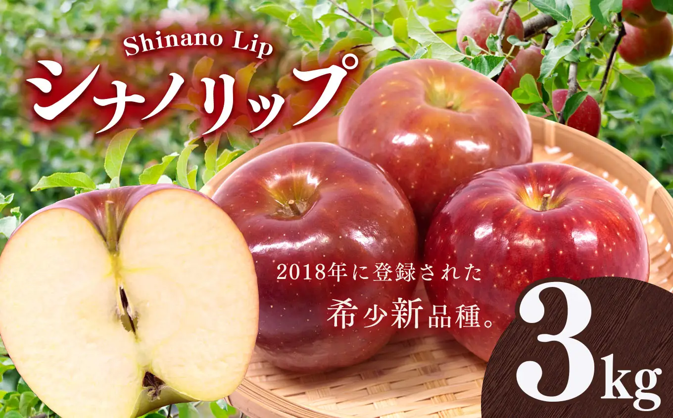 りんご 信州 上伊那産 贈答用 シナノリップ 約3kg 12玉 【011-a7】