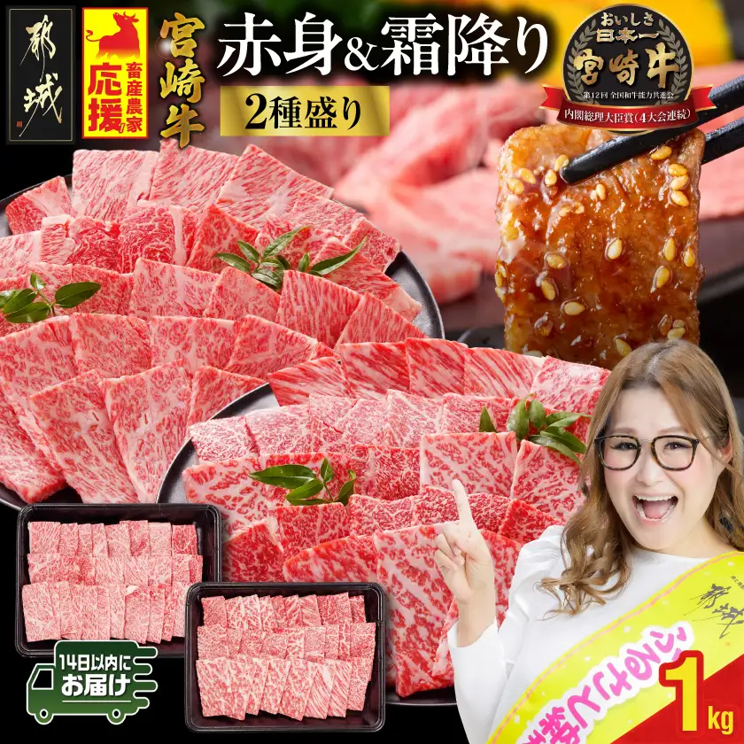 牛肉 畜産農家応援! 宮崎牛焼肉2種1kgセット(霜降り400g 赤身600g)≪みやこんじょ快速便≫〔18-N2-002-1kg-S4A6-R〕牛肉 宮崎牛