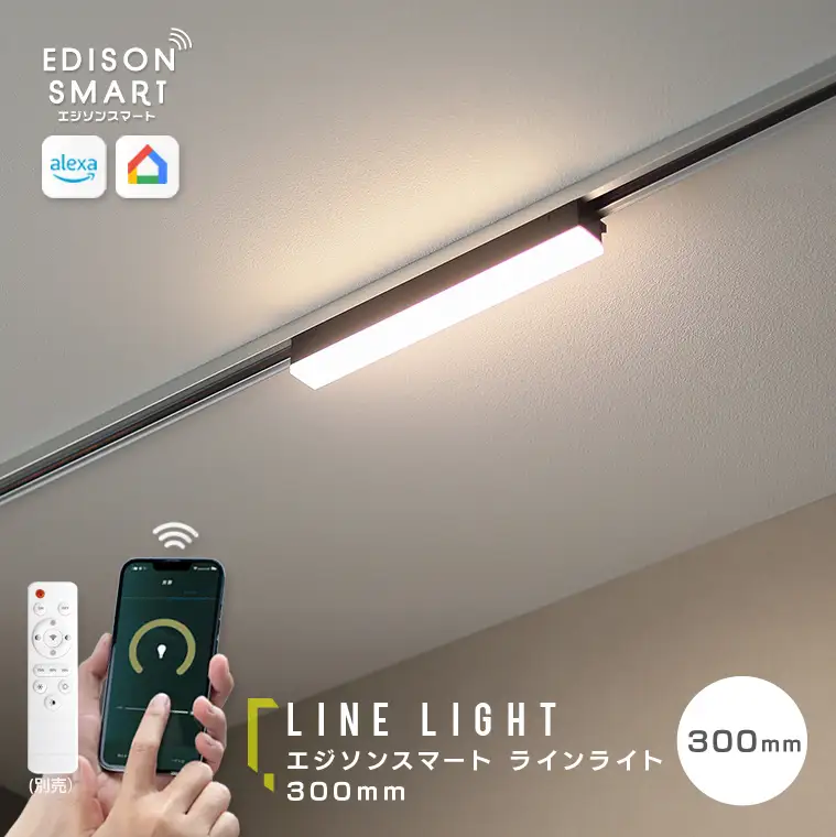 エジソンスマート ラインライト 300mm for ダクトレール ブラック ライト 電気 照明 LED LED照明 スマート照明 ダクトレール用ライト 調光 調色 ダクトレール 省エネ 節電 家電 電化製品 福岡 福岡県 福岡市