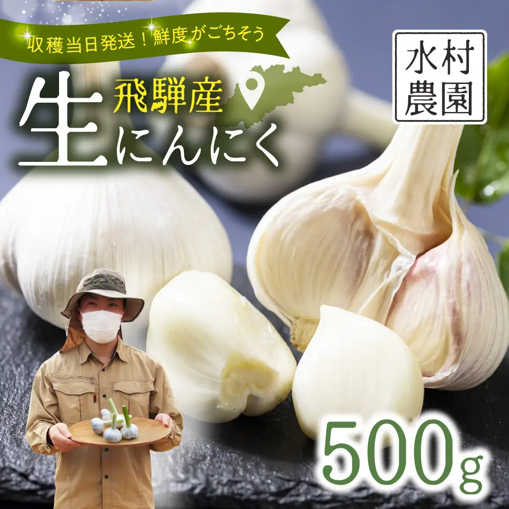 生にんにく 500g 飛騨 にんにく 水村農園 