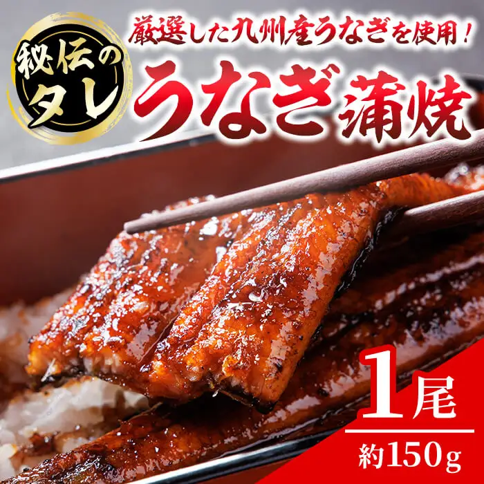 うなぎの蒲焼(一尾) うなぎ 鰻 ウナギ 国産 九州産 蒲焼き うな重【118700100】【まつや】
