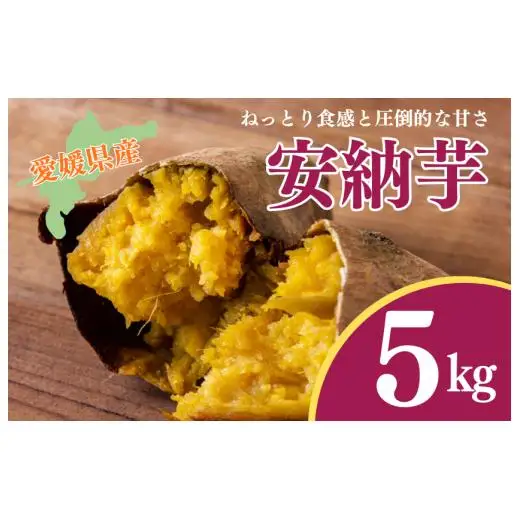 『えがお畑』で採れた安納芋 5kg