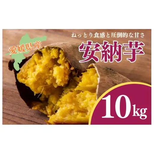 『えがお畑』で採れた安納芋 10kg