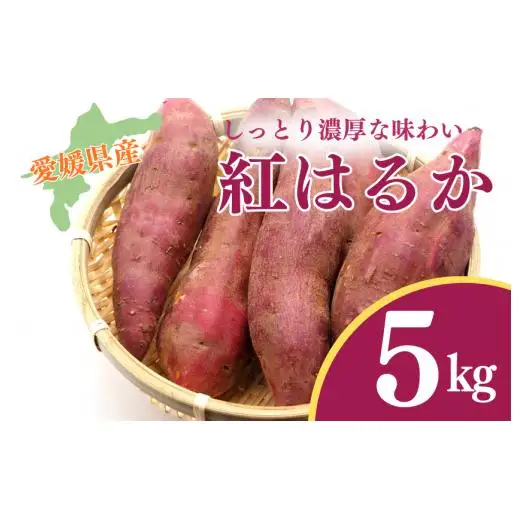 『えがお畑』で採れた紅はるか 5kg