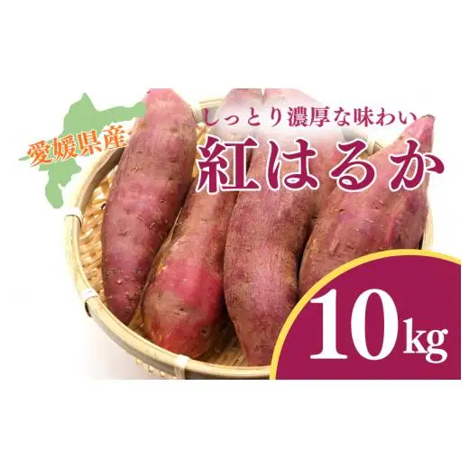 『えがお畑』で採れた紅はるか 10kg