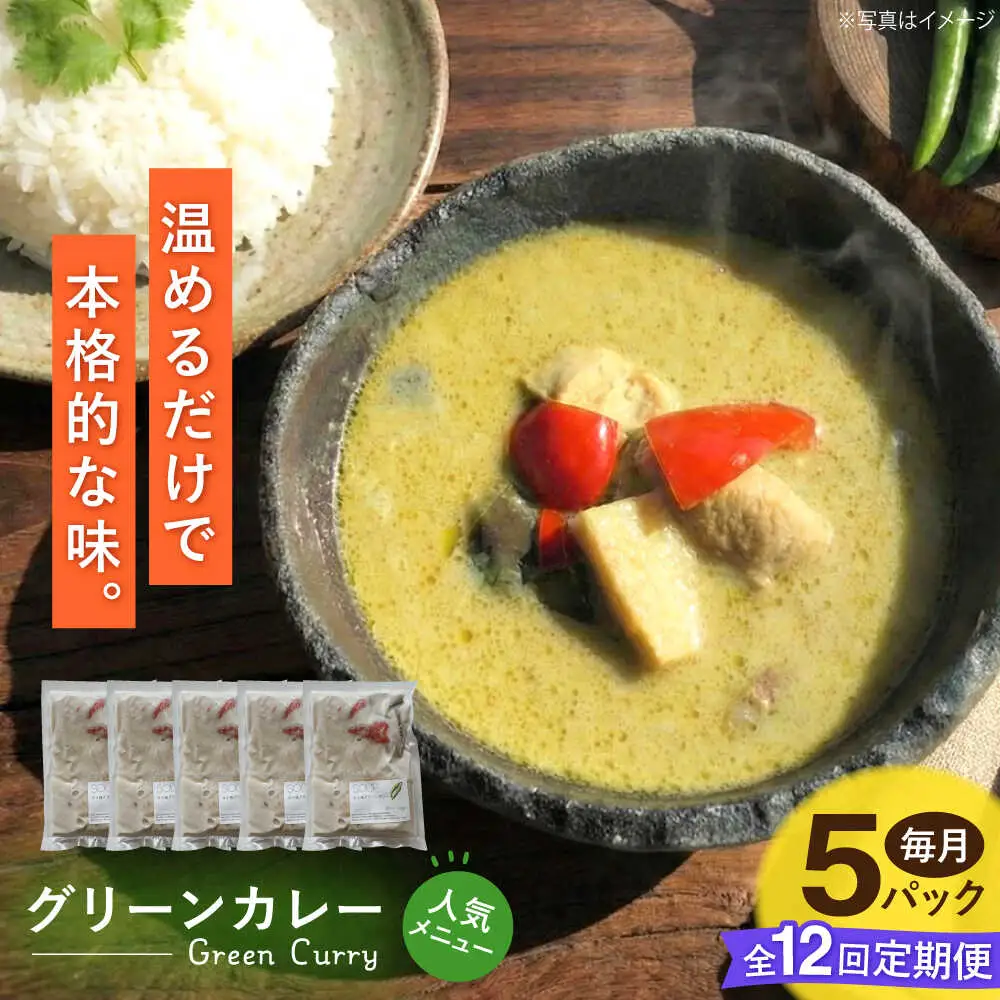 【全12回定期便】グリーンカレー 約180g×5パック 計900ｇセット 【SOUP LAB】[AYAK016]