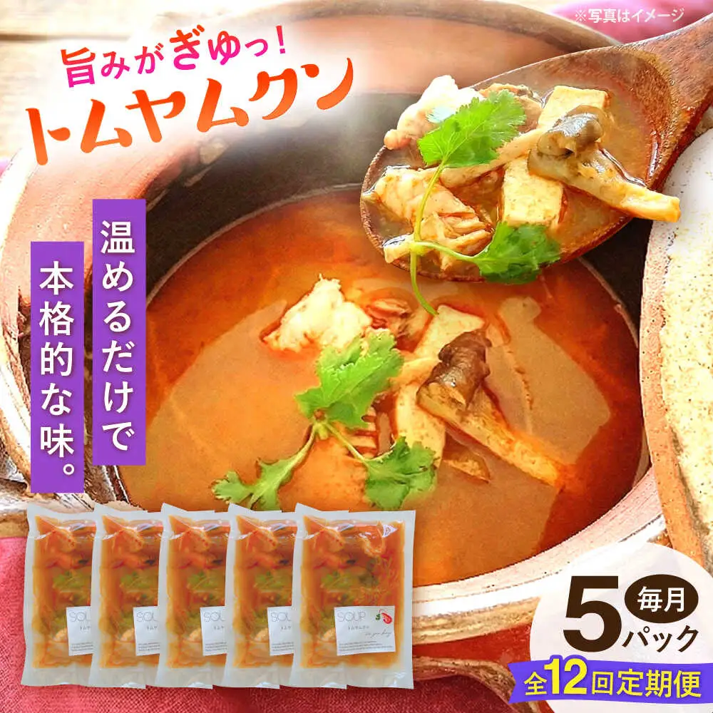 【全12回定期便】トムヤムクン 約180g×5パック 【SOUP LAB】[AYAK019]