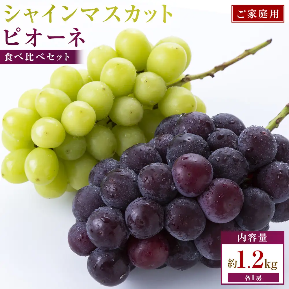 【2026年8月13日～2026年10月17日配送】ご家庭用　シャインマスカット+ピオーネ食べ比べセット　約1.2kg(各1房)