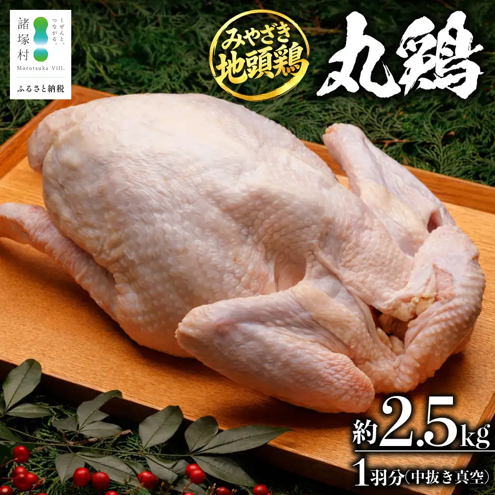 みやざき地頭鶏 1羽 中抜き 丸鶏 セット 冷凍｜鶏肉 地鶏 丸鶏 1羽まるごと ロースト チキン じとっこ 真空パック 興洋開発株式会社 宮崎県 諸塚村 KY-16