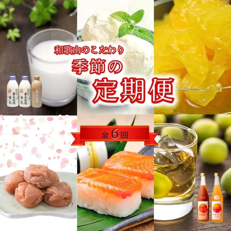 【定期便】【偶数月発送】【全6回お届け】 和歌山のこだわり　季節の定期便 【tkb423】