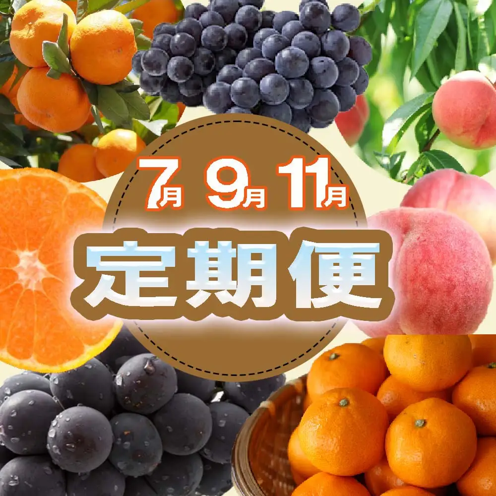 【定期便全3回】産直・和歌山フルーツ定期便（桃・ピオーネ・有田みかん）【tkb413】