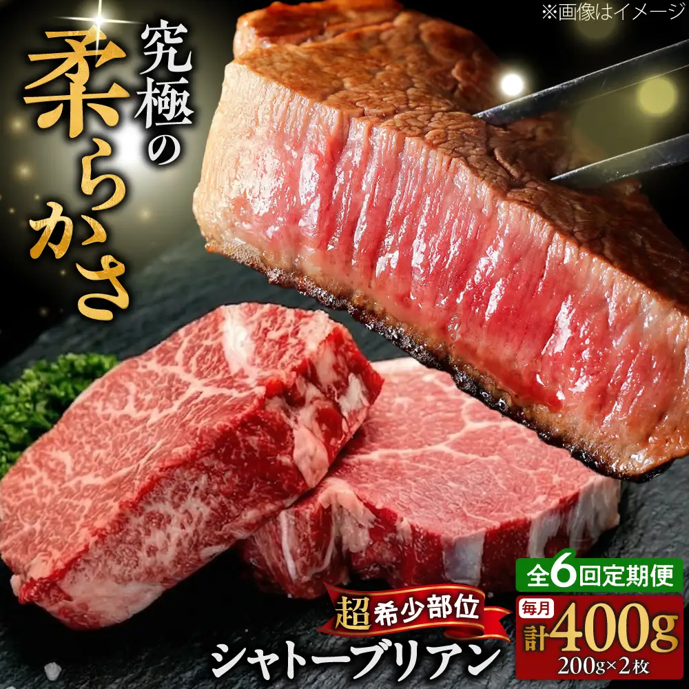 【全6回定期便】博多和牛 牛肉 ヒレ シャトーブリアン 400g（200g×2）[BGBY081] シャトーブリアン ステーキ