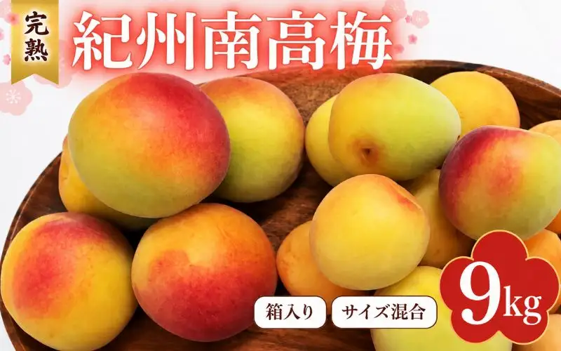 【2027年分先行予約】完熟梅 紀州南高梅 9kg サイズ混合（箱込み）※2027年6月中旬～順次発送予定 / 田辺市 果物 果実 梅 生梅 梅干し うめぼし 梅酒 梅ジュース 梅シロップ 手作り 自家製 新鮮  【sny007-1】