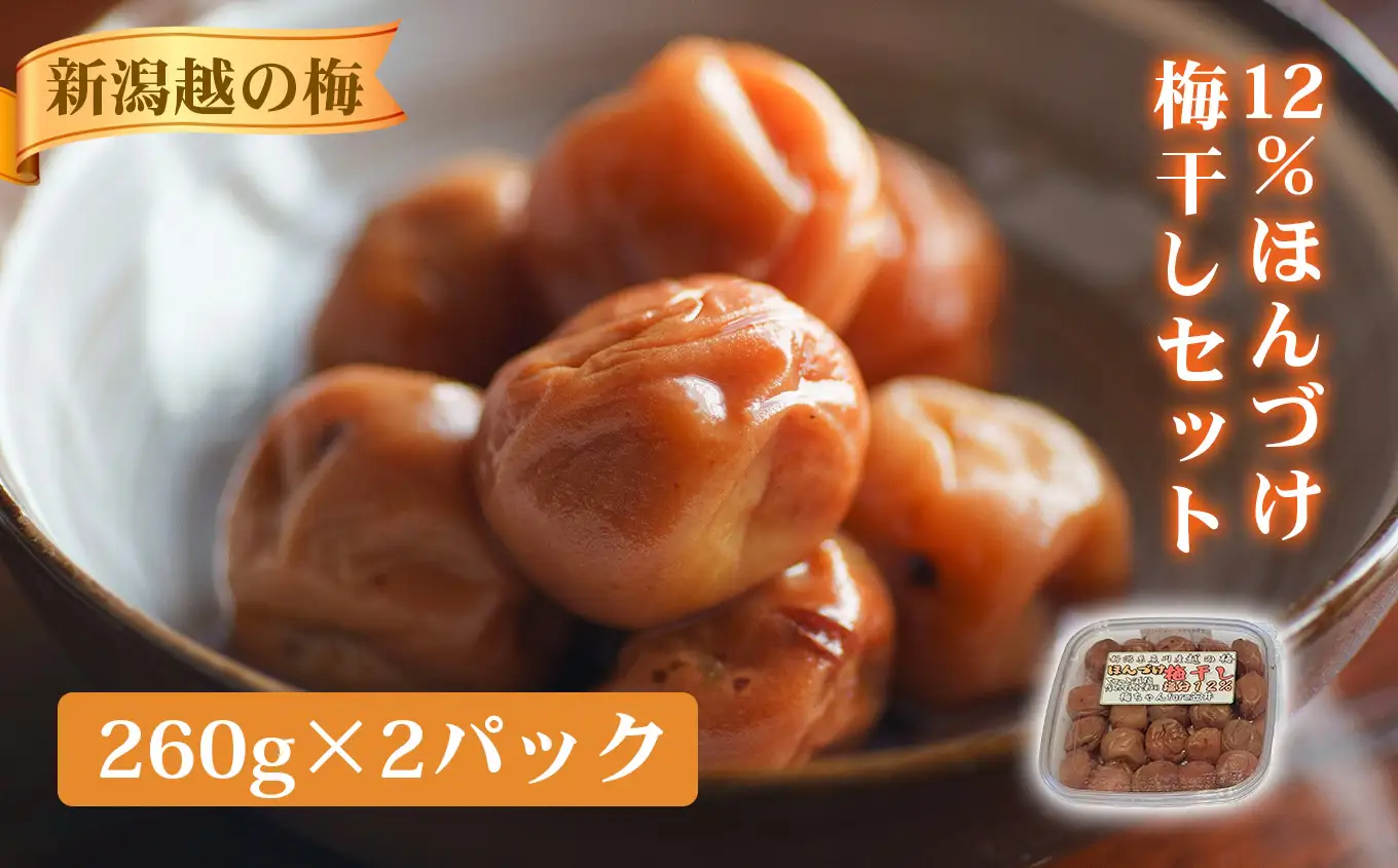 【保存料不使用】12%ほんづけ梅干しセット（新潟越の梅）260g×2 新潟県産越の梅 高級 大粒白梅 梅干 梅干し 人気 ご家庭用 天然 新潟県糸魚川 うめぼし 梅ちゃんfarm笠井