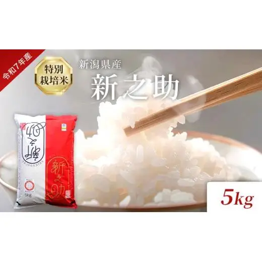 米令和7年度産 新潟県産特別栽培米新之助（白米）5kg