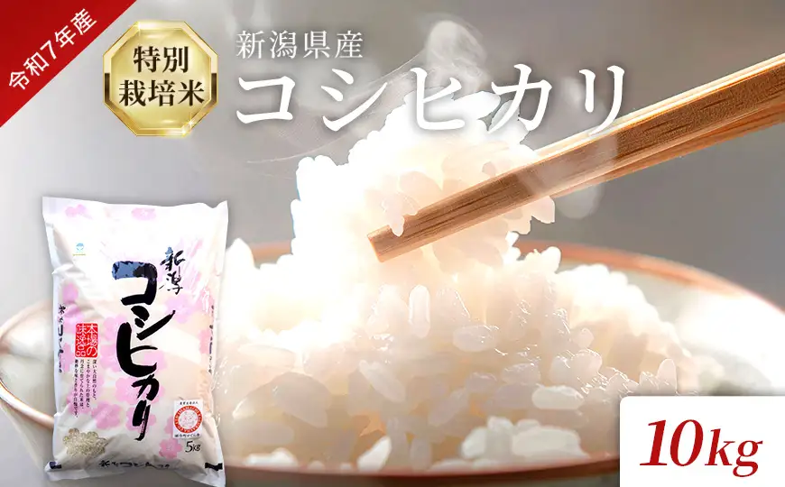 米 令和7年産 特別栽培米 新潟県産コシヒカリ（白米）10kg