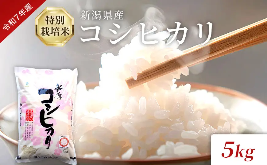 米 令和7年産 特別栽培米 新潟県産コシヒカリ（白米）5kg