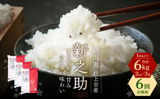 【令和7年産米】【6ヶ月定期便】村上市産 新之助 36kg （6kg×6ヶ月）コース 1027037