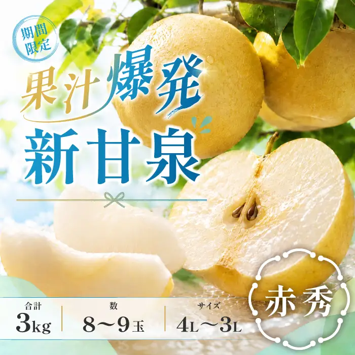 【期間限定】鳥取県産 新甘泉 “赤秀” 3kg（8〜9玉/4L～3Lサイズ）【梨 新甘泉 しんかんせん 赤秀 先行予約 季節限定 赤梨 3kg 8玉～9玉 なし ナシ 贈答用 期間限定 果物 フルーツ くだもの 数量限定 産地直送 鳥取県】