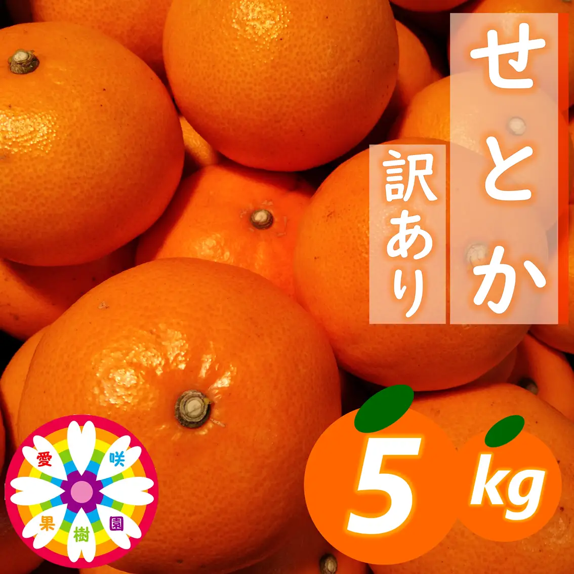 【先行受付】愛咲果樹園「せとか」訳あり約5kg【C71-38】YWTS034