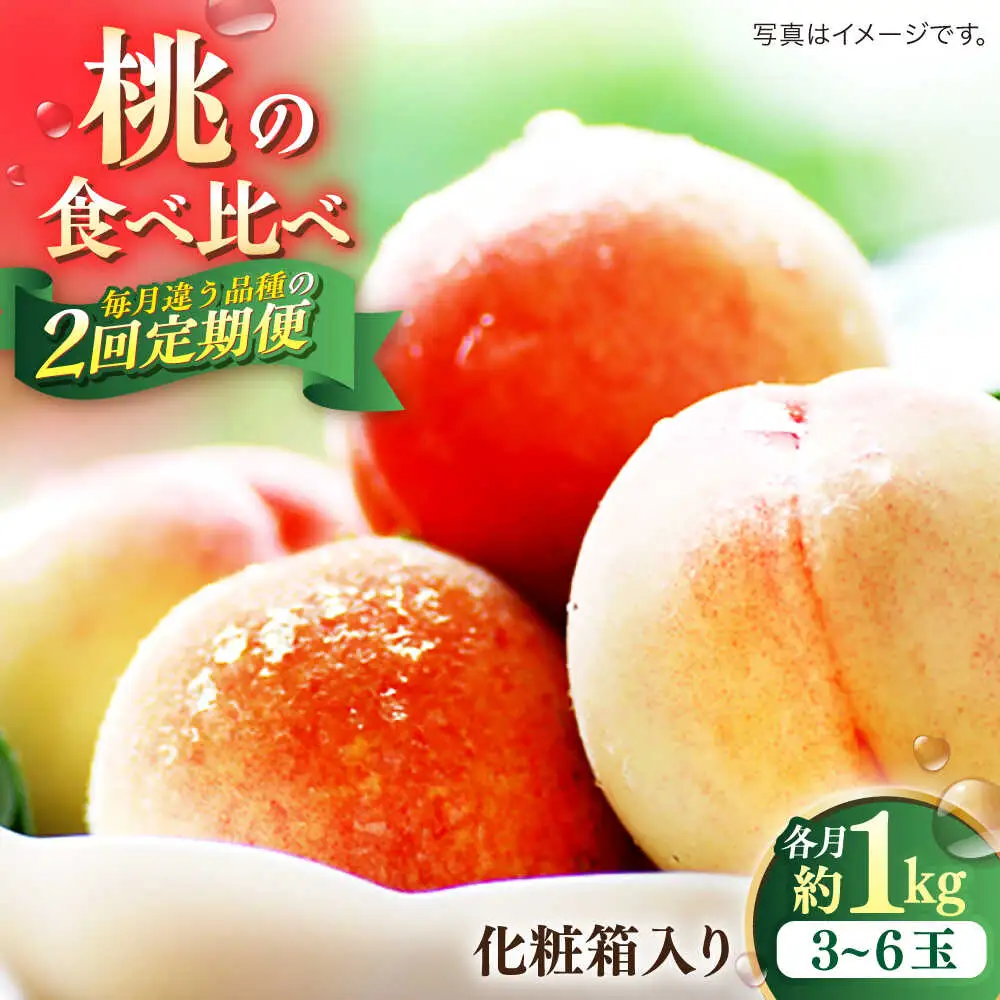 【2027年6月-発送】【2回定期便】南島原の桃を食べ比べ 化粧箱入り 計2kg 日川白鳳 夢富士 あかつき なつっこ / 桃 もも ハウス桃 フルーツ 果物 / 南島原市 / ふくはちファーム[SBS001]