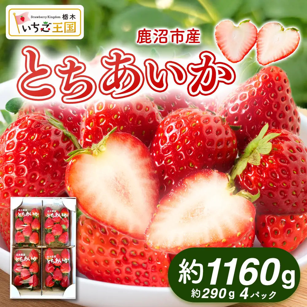 【先行予約】出会いの森いちご園 とちあいか （290g×4パック） | いちご イチゴ 苺 栃木県 果物 くだもの フルーツ とちあいか 新鮮 贈答 ギフト デザート スイーツ ※2026年12月～発送