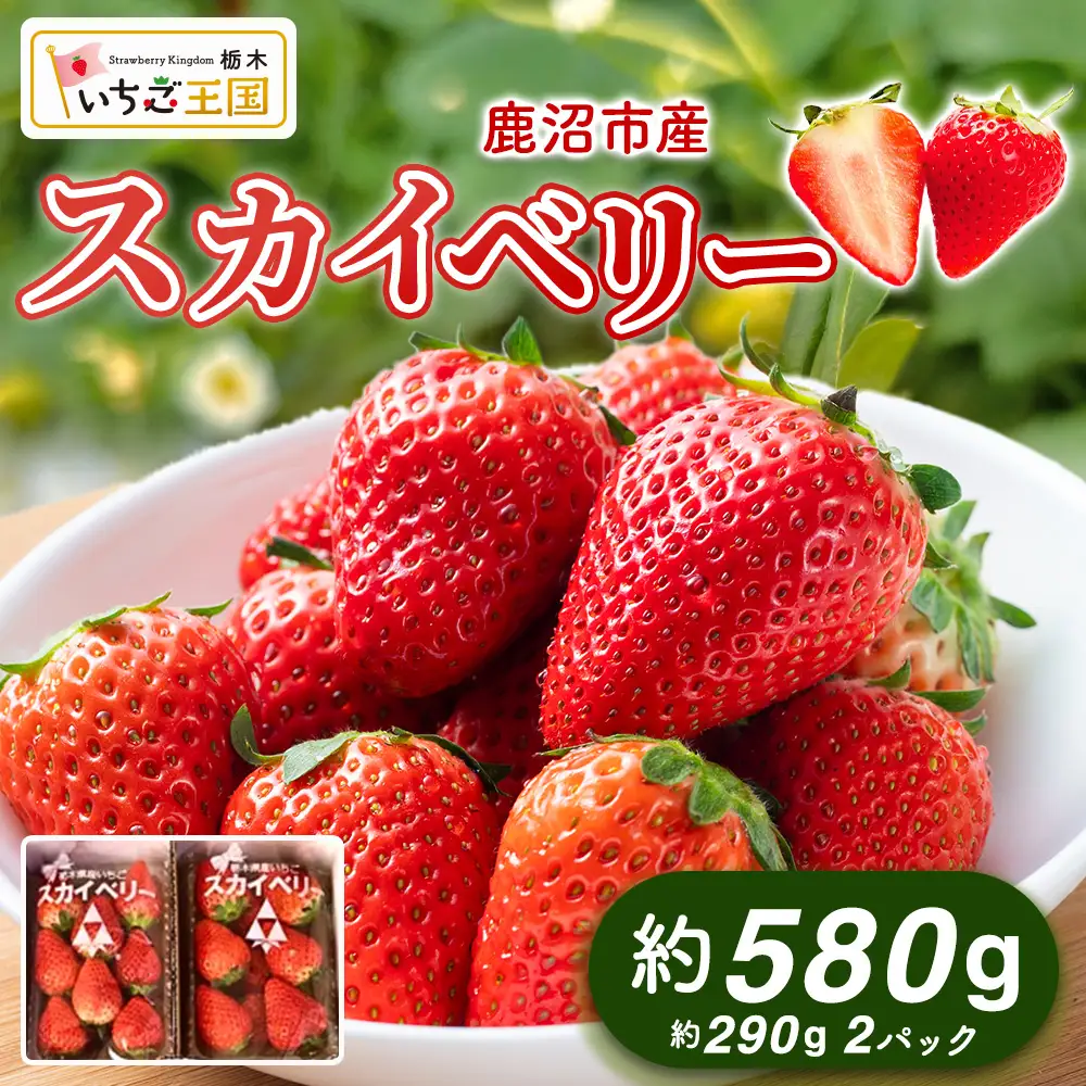 【先行予約】出会いの森いちご園 スカイベリー （290g×2パック） | いちご イチゴ 苺 栃木県 果物 くだもの フルーツ スカイベリー 新鮮 贈答 ギフト デザート スイーツ ※2026年12月～発送