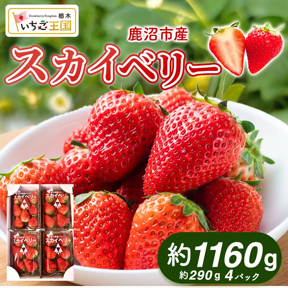 【先行予約】出会いの森いちご園 スカイベリー （290g×4パック） | いちご イチゴ 苺 栃木県 果物 くだもの フルーツ スカイベリー 新鮮 贈答 ギフト デザート スイーツ ※2026年12月～発送