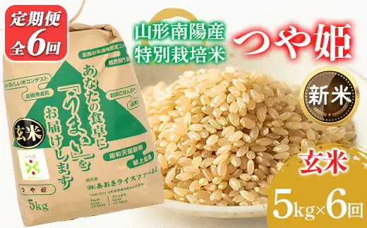 【令和8年産 新米 先行予約】 【金賞受賞農家】 《定期便6回》 特別栽培米 つや姫（玄米）5kg×6か月 《令和8年9月下旬～発送》 『あおきライスファーム』 山形南陽産 米 玄米 ご飯 農家直送 山形県 南陽市 [2629-R8]