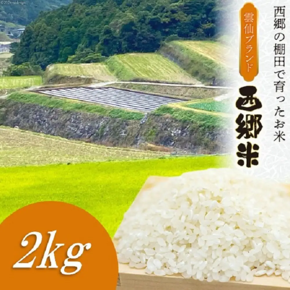 雲仙ブランド認定商品　「西郷米」白米　2kg