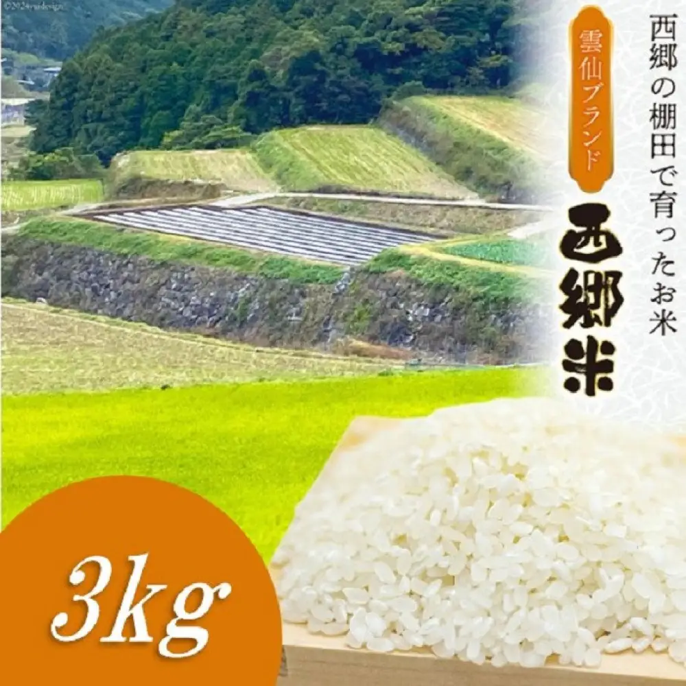 雲仙ブランド認定商品　「西郷米」白米　3kg