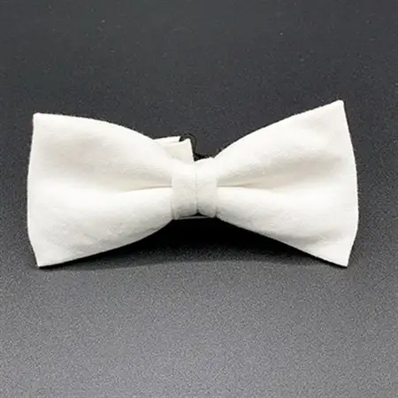 クラバットユキジ製　デニム蝶ネクタイ(オフホワイト)_装飾品・工芸品 ネクタイ・ベルト 服飾小物 _【1095859】