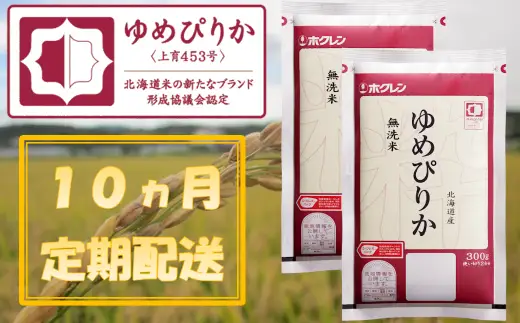 （無洗米６００ｇ）【１０ヶ月定期配送】ホクレンゆめぴりか