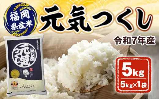 【令和7年産】 令和7年産 元気つくし5kg | 米 お米 FBN