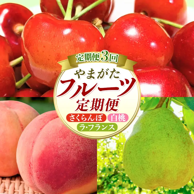 【定期便3回】やまがたフルーツ定期便 さくらんぼ /白桃/ラフランス FY26-075